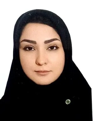 وکیل وکیل نادری