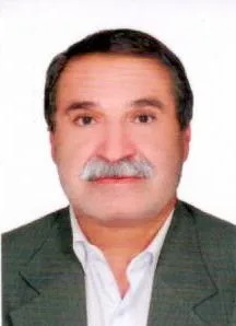 وکیل وکیل حقیقی