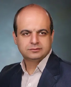 وکیل وکیل جبل عاملی
