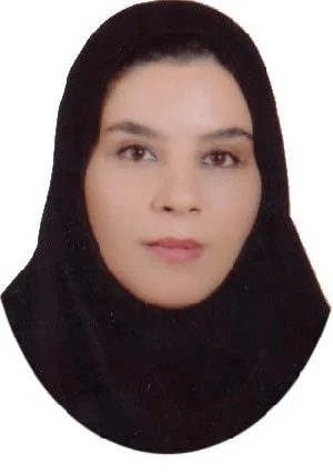 وکیل وکیل فدائی