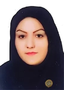 وکیل وکیل رسولی
