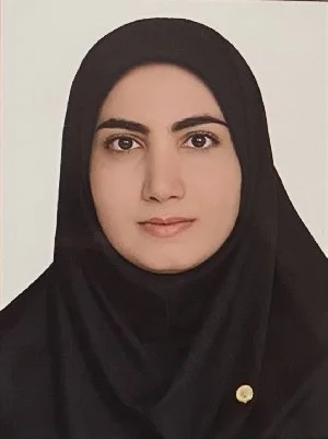 وکیل وکیل باقری ریزی
