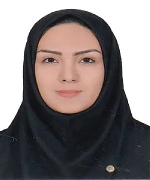 وکیل وکیل محمدی